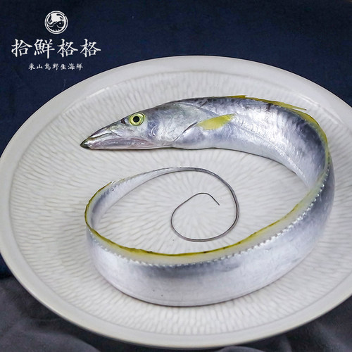 拾鲜格格 黄金带鱼 东山岛海鲜 海捕黄嘴小带鱼新鲜刀鱼 400g