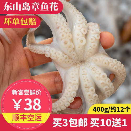 拾鲜格格小章鱼东山岛海鲜