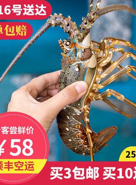 小青龙东山岛海鲜活冻