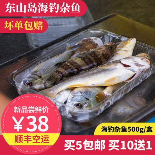 海钓杂鱼东山岛海鲜买10送1