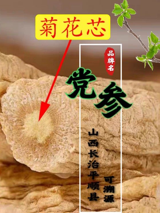 平顺上党种植潞党参去头段天然无硫无添加过筛当参片泡水500g饮片