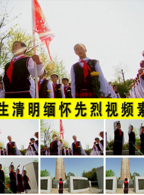 清明节中小学生少先队员烈士陵园纪念馆敬礼献花缅怀先烈视频素材