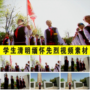清明节中小学生少先队员烈士陵园纪念馆敬礼献花缅怀先烈视频素材