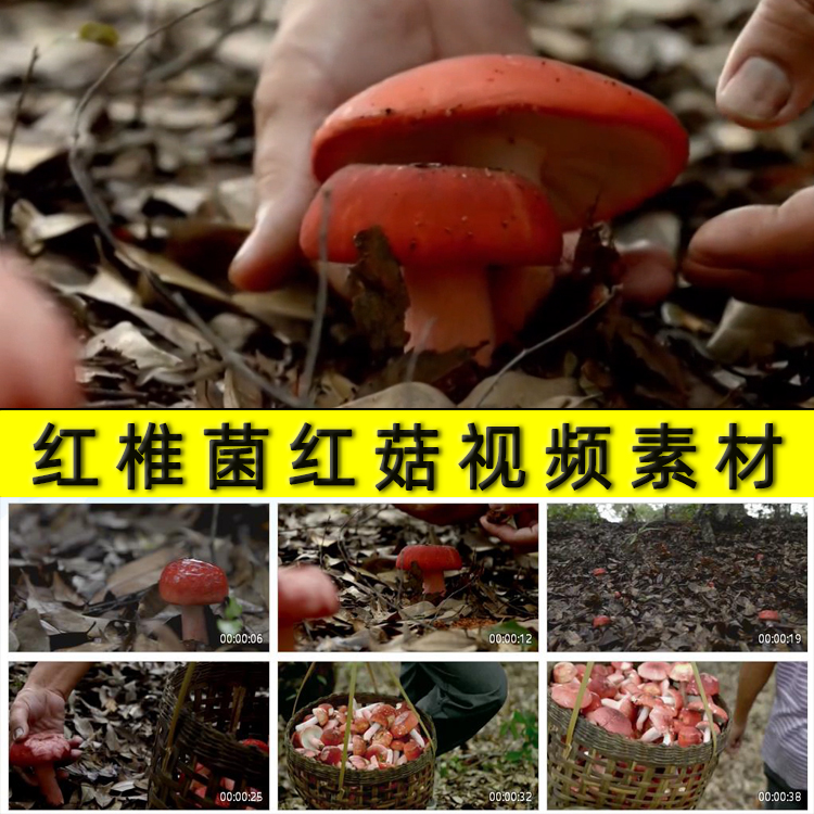 电脑计算机组装维护维修机箱开箱拆机拆卸修电脑主机硬件视频素材图片