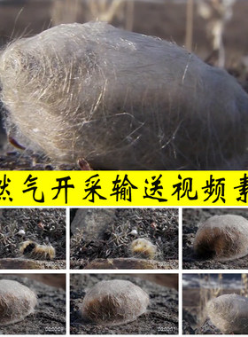 作茧自缚自作聪明自食苦果机关延迟寓意境实拍视频素材