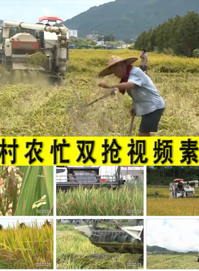 农村农忙双抢季节农业水稻粮食生产收割抢耕抢收抢种实拍视频素材