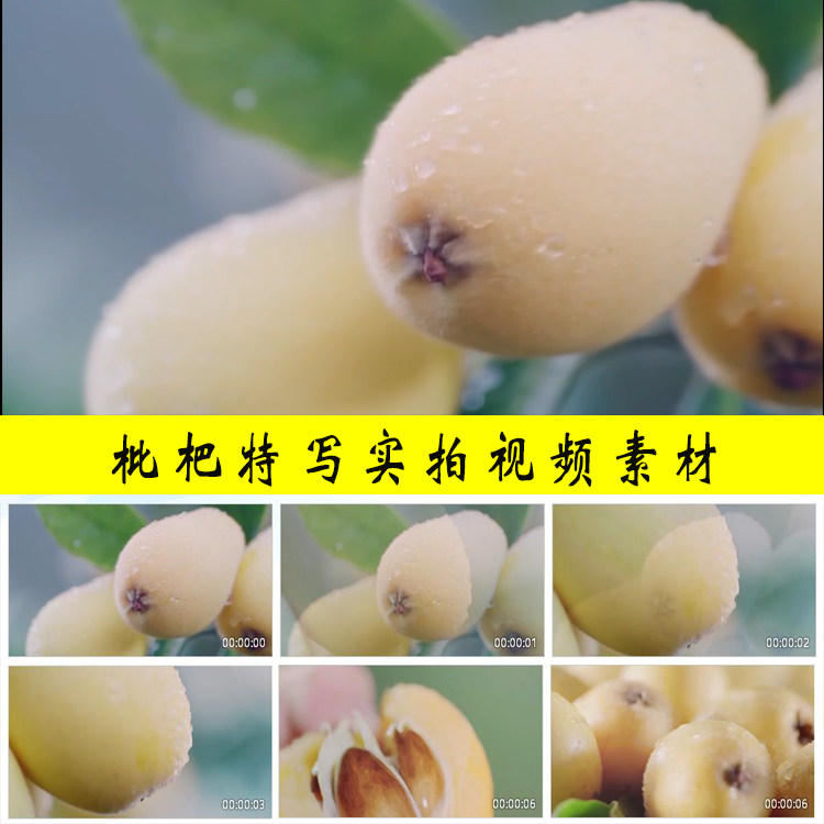 枇杷实拍镜头水果枇杷特写视频素材