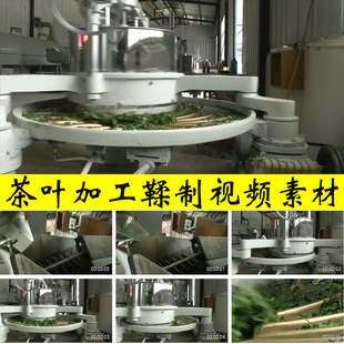 茶叶加工制作生产鞣制深加工茶企茶农茶厂茶园种植业实拍视频素材