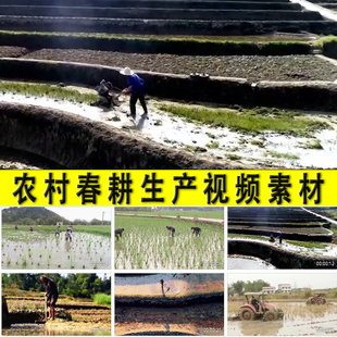 农业农村春耕粮食生产农民田间劳作耕地栽秧子田劳动人民视频素材