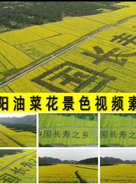 中国长寿之乡麻阳油菜花田风景色旅游景点彩绘文字农田视频素材