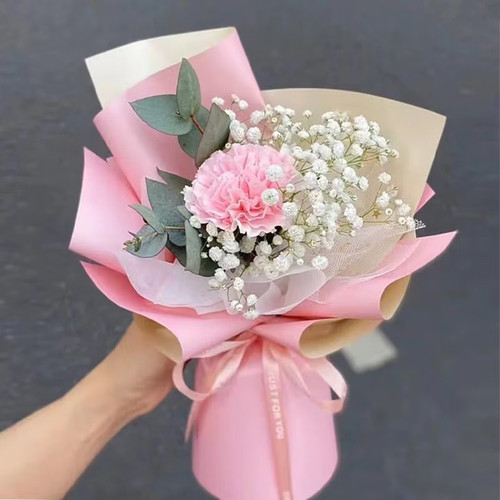 粉色康乃馨小花束生日祝福送妈妈送岳母婆婆母亲礼物鲜花同城速递