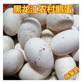 鹅蛋东北农村笨鹅蛋黑龙江特产农家土笨鹅蛋大孕妇孩子12枚 包邮