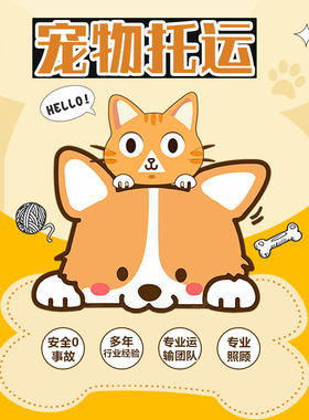 猫狗宠物运输全国宠物托运服务上门接送杭州上海成都广州空调专车
