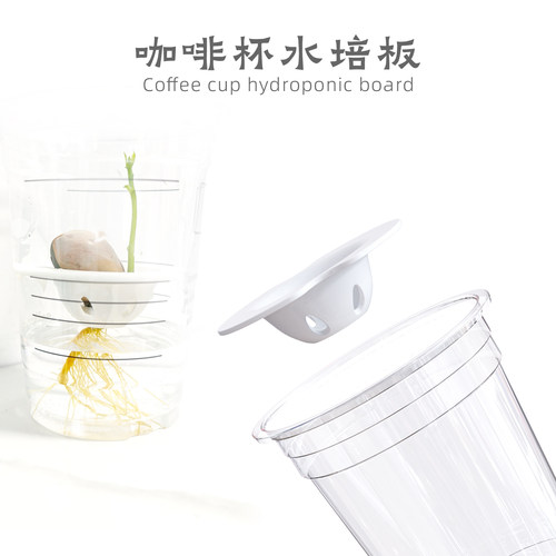 咖啡杯水培板植物发芽杯园艺工具