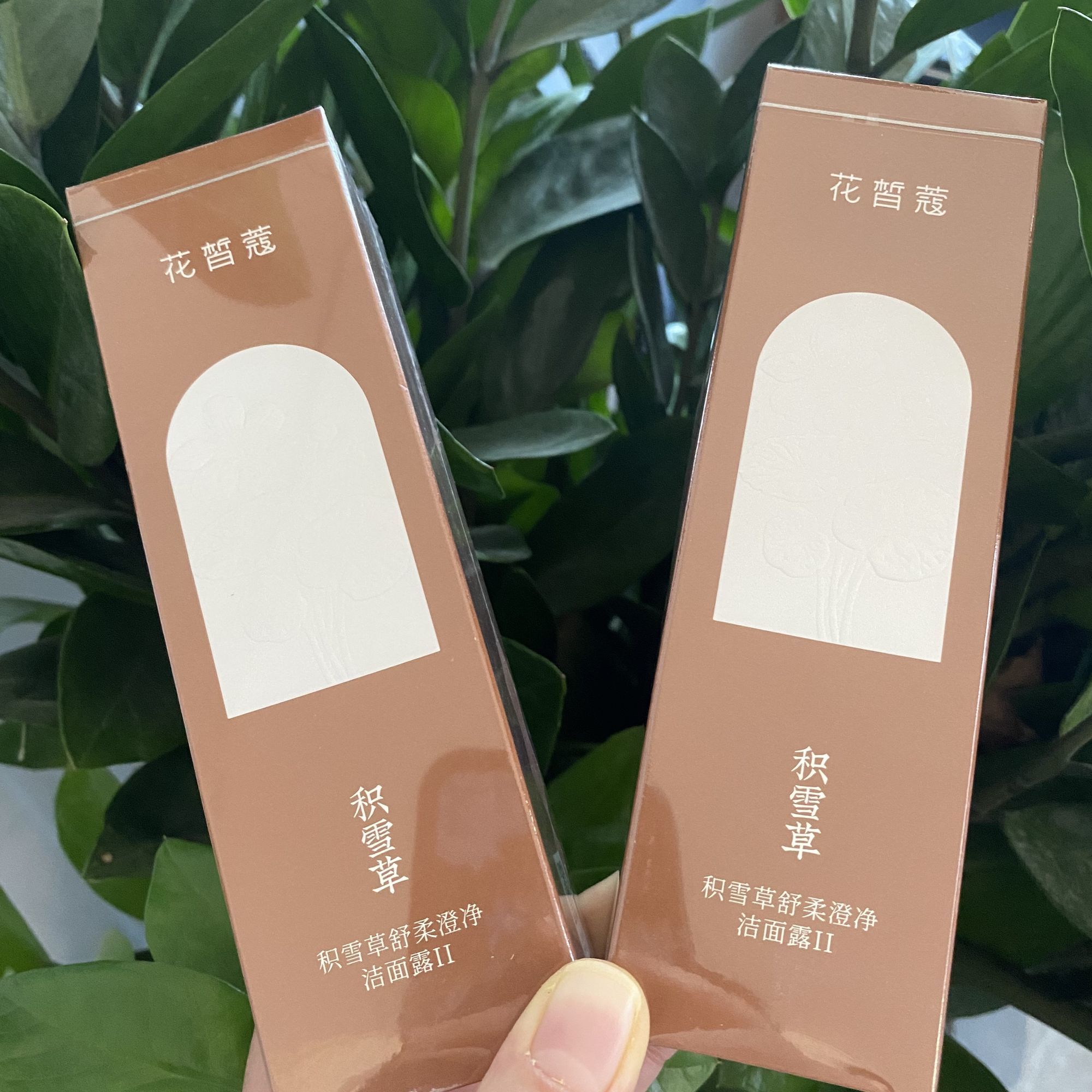 花皙蔻洗面奶积雪草舒柔澄净洁面露清洁毛孔温和官方旗舰店正品