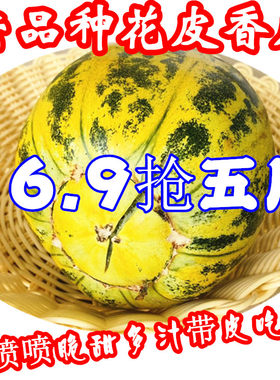 老品种花皮甜瓜香瓜河南香瓜新鲜水果花蕾甜瓜八里香瓜现摘一整箱