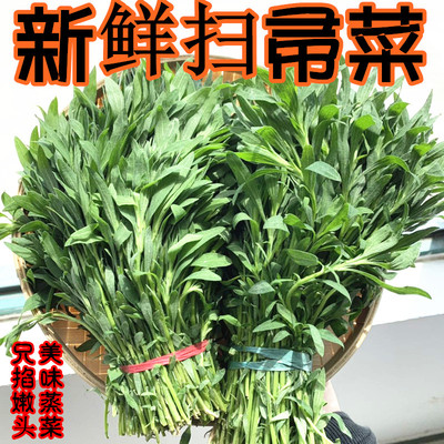 新鲜面条菜野菜蒸菜食材扫帚苗菜