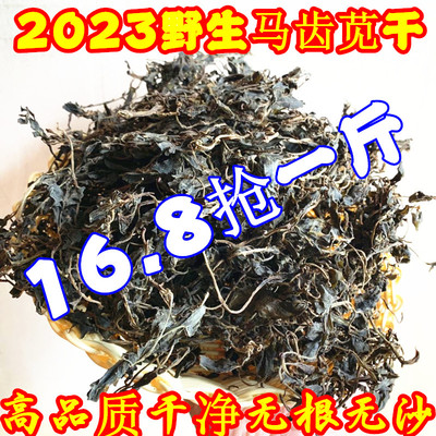 老马齿苋干货2023新货马子菜