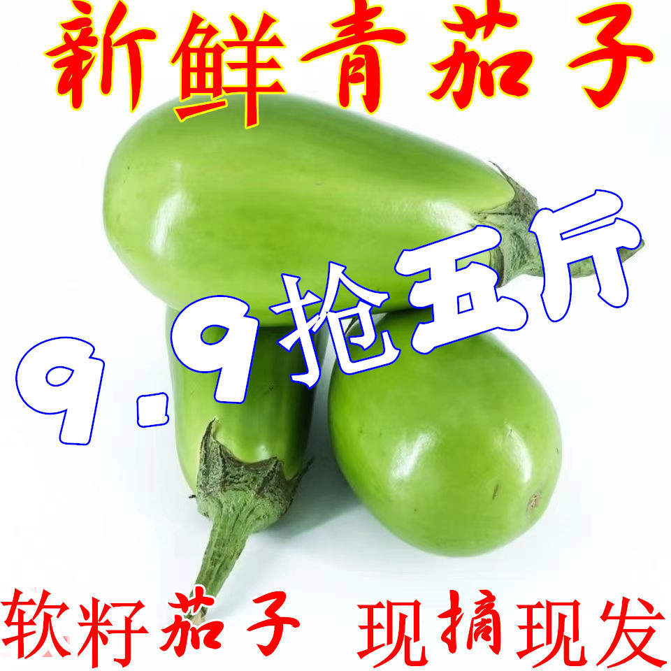 河南青茄子新鲜现摘包邮绿皮茄