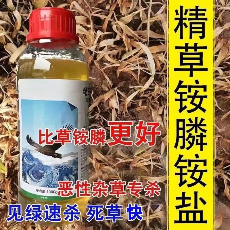 鹰德蓝精草铵磷铵盐高浓度除草烂根剂果园茶园田埂除顽固杂草农药