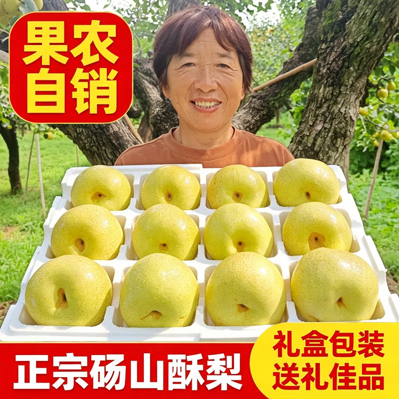 正宗安徽砀山酥梨新鲜水果脆甜多汁果肉细腻不催熟不打蜡10斤整箱