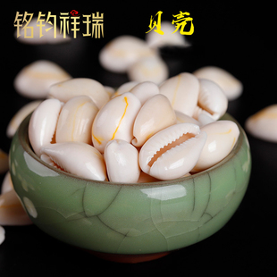 白色贝壳散装小石子园艺花瓶水族箱装饰家用/曼扎舍利宝石/50克