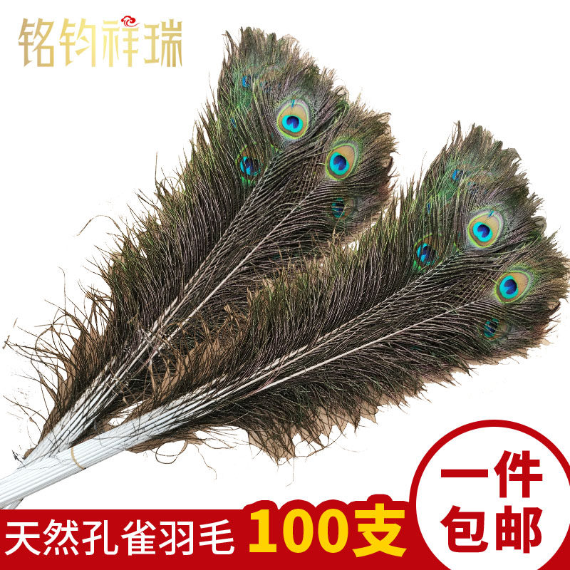 羽毛大眼睛花瓶孔雀尾