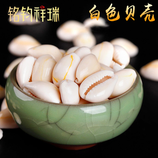 贝壳散装白色小石子园艺花瓶水族箱装饰家用藏式曼扎舍利宝石/50