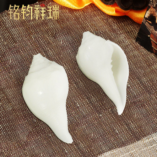白贝壳尼泊尔海螺藏式八供摆件