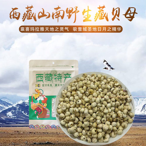 西藏野生贝母山南高原藏青贝炉贝