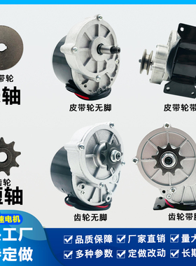 羚鹰12V24V36V250W350W有刷减速电机MY1016Z2尤奈特同款 长轴齿轮