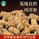基地直供西洋农残重金属检测均合格六年上老西洋参
