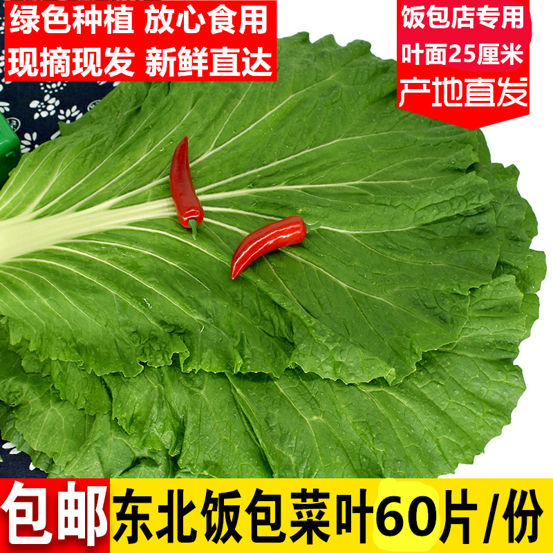 东北饭包白菜叶打饭包菜叶食用菜包饭60片装饭包店专用包邮