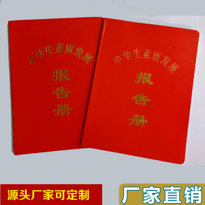 中小学生素质发展报告册幼儿素质