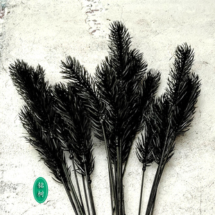 仿真松针叶柏树枝假花松树盆栽松枝道具干花塑料花黑色假树叶