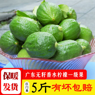 新鲜正宗广东无籽香水柠檬5斤一级果绿青柠檬奶茶店专用江门水果