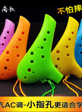 12孔树脂塑胶陶笛AC调小学生初学扁嘴L型塑料十二孔中音C调ac防摔