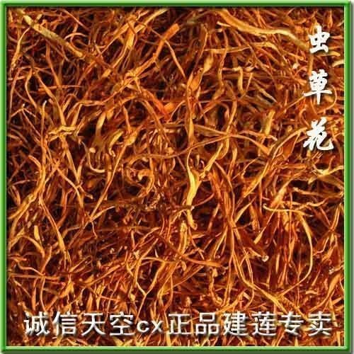 冬虫草花夏草子实体金虫草蛹虫草150g散称干货福建武夷山邵武特产 传统滋补营养品 蛹虫草 原图主图