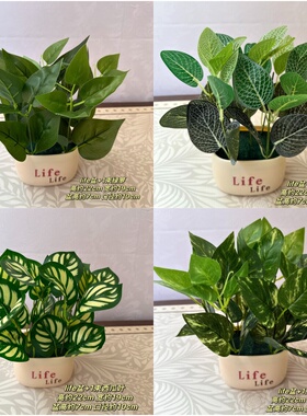 仿真植物墙绿植墙假花假草室内室外背景墙装饰花草绿萝隔断小盆栽
