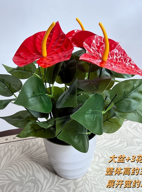 假花仿真绿植红掌盆景摆件塑料客厅绿色植物落地盆栽装饰摆设