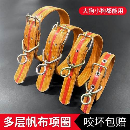 土狗项圈加厚帆布脖套遛狗绳