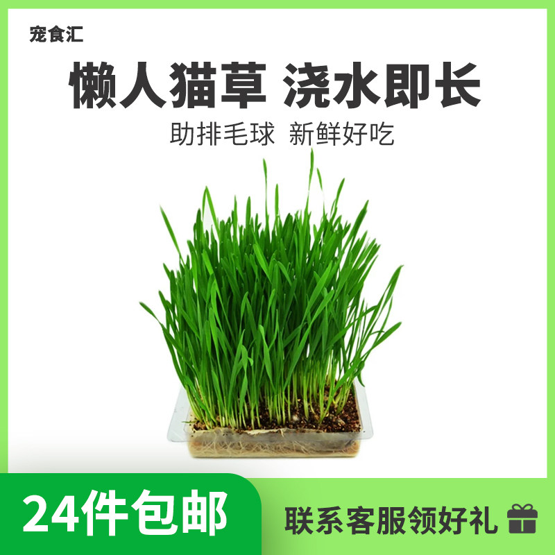 【24件包邮】猫草猫咪培育套装猫零食懒人猫排毛球去毛球