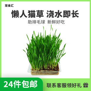 【24件包邮】猫草猫咪培育套装猫零食懒人猫排毛球去毛球