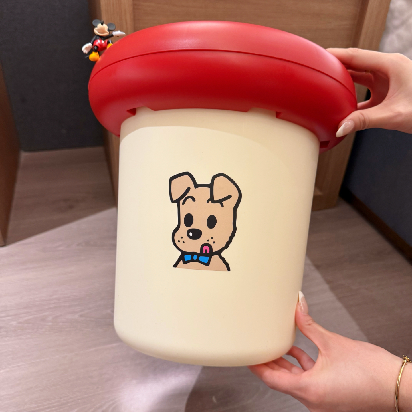 可爱垃圾桶家用2025新款卫生间厕所客厅卧室大号大容量纸篓收纳桶