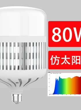 工厂客厅大厅80W大功率全光谱高亮度护眼LED灯泡RG0低蓝光E27螺口