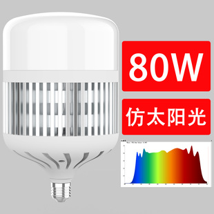 工厂客厅大厅80W大功率全光谱高亮度护眼LED灯泡RG0低蓝光E27螺口