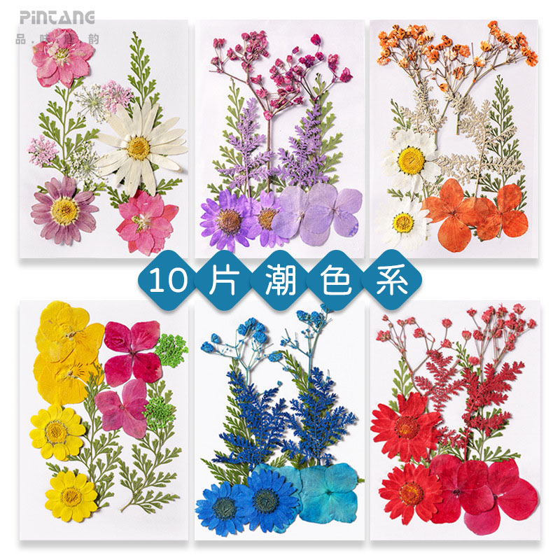diy材料小学生干花压花