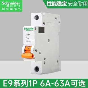 施耐德断路器 空气开关家用电闸总开schneider 2PC63A双进双出