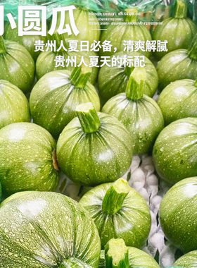贵州省汤新鲜素瓜豆出战