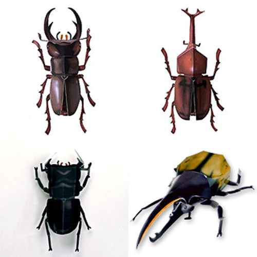 昆虫甲虫独角仙大兜虫金龟子模型